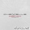 Rabbit Hole (Cowards, Pt. 1) - Single