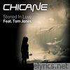 Stoned In Love (feat.Tom Jones) - EP