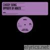 Chiddy Bang - Opposite of Adults - EP