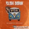 Slow Down (feat. Destin Taylor & Joey Sativa) - Single