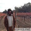 Childish Gambino - What Kind of Love - Single