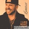 I Like What I Hear - Single