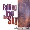 Falling from the Sky - Single