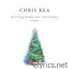 Driving Home for Christmas (Instrumental) - Single