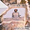 Everything Going Up - Single