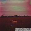 Chris Wright lyrics