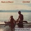 Back to Shore - Single