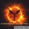 Everybody Hates You - Single