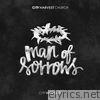 Man Of Sorrows (City Worship) - Single