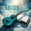 Abide - Single