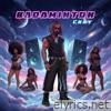 BADAMINTON - Single