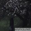 NIGHTS LIKE THIS PT 2 (Ambient Demo Version) - Single
