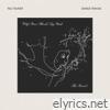 Clap Your Hands Say Yeah - The Tourist (Bonus Tracks)