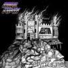 NATURAL SELECTION - Single
