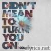 Didn't Mean To Turn You On, Pt. 2 - Single