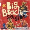 Big Beach Sounds, Vol. 1