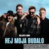 Hej moja budalo - Single