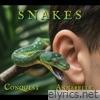 SNAKES (feat. Annabelle Hicks) - Single