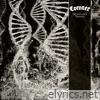 Dissonance Theory