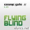 Flying Blind - EP