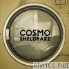 Cosmo Sheldrake - The Moss - Single