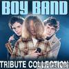 Boy Band Tribute Collection