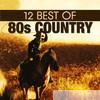 Countdown Singers - 12 Best of 80's Country