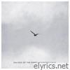 jealous of the birds - Single