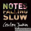Notes Falling Slow