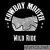 Wild Ride - Single