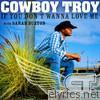 Cowboy Troy - If You Don't Wanna Love Me - Single