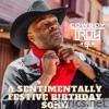 A Sentimentally Festive Birthday Song - Single