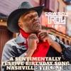 A Sentimentally Festive Birthday Song (Nashville Version) - Single