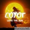 Love The Sun - Single
