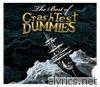 The Best of Crash Test Dummies