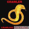 Crawling King Snake (Live)