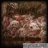 Shredded Banners - Single