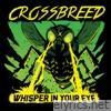 Whisper in Your Eyes (feat. Babadook & Xosex) - Single