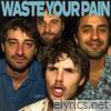 waste your pain - Single