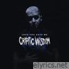 Cryptic Wisdom - Love You Hate Me