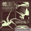Spinnennetz - Single