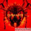 Cubanate - Brutalism (2017 Remaster)