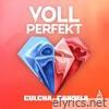 Voll Perfekt - Single