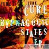 Hypnagogic States