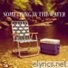 Something In The Water - Single