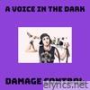 A Voice in the Dark - Single