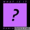 Damian Lynn - What Is It - Single