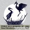 Dana Falconberry - Public Hi-Fi Sessions 02 - Single