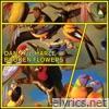 Broken Flowers EP