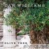 Olive Tree - Single